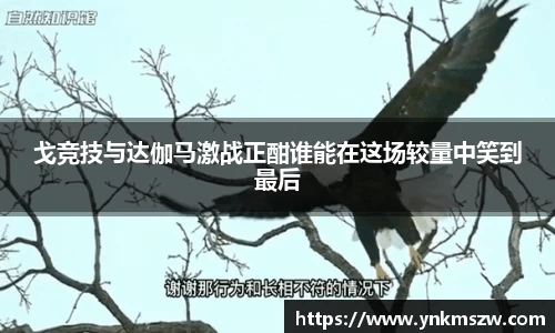 戈竞技与达伽马激战正酣谁能在这场较量中笑到最后
