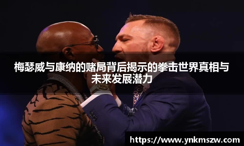 梅瑟威与康纳的赌局背后揭示的拳击世界真相与未来发展潜力