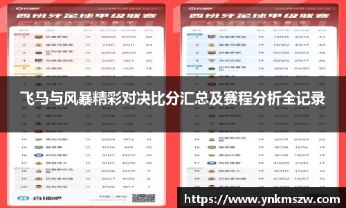 飞马与风暴精彩对决比分汇总及赛程分析全记录
