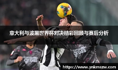 意大利与波黑世界杯对决精彩回顾与赛后分析