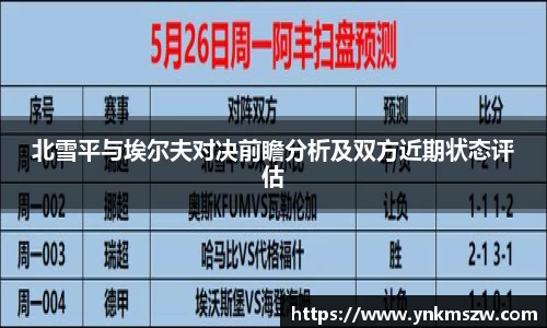 北雪平与埃尔夫对决前瞻分析及双方近期状态评估