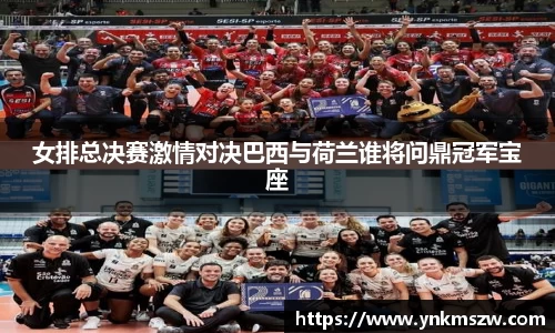九游老哥J9俱乐部