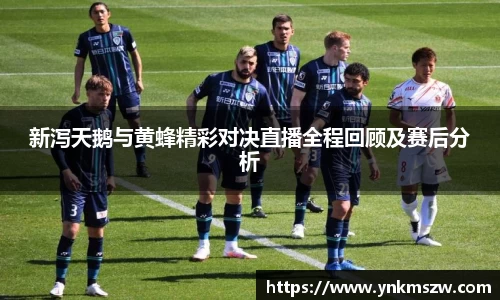 九游老哥J9俱乐部